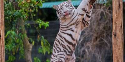 南宫ng28(中国游)官方网站