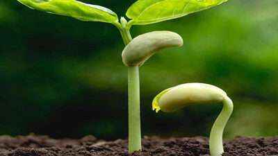 南宫ng28(中国游)官方网站