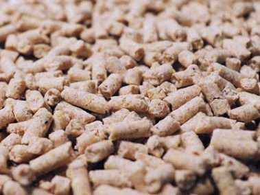 南宫ng28(中国游)官方网站