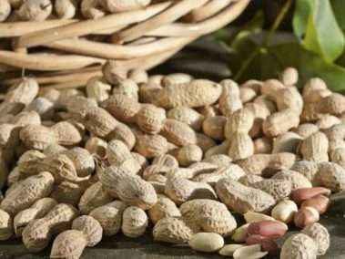 南宫ng28(中国游)官方网站