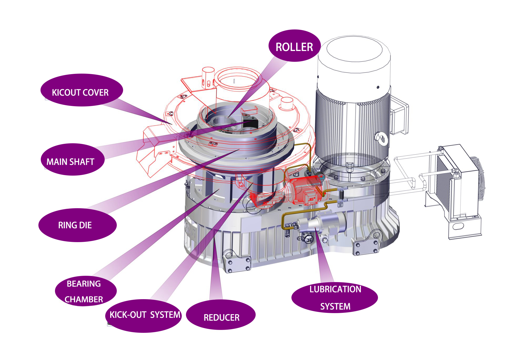 南宫ng28(中国游)官方网站