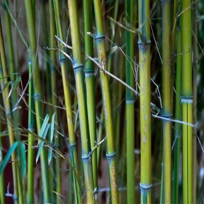 南宫ng28(中国游)官方网站