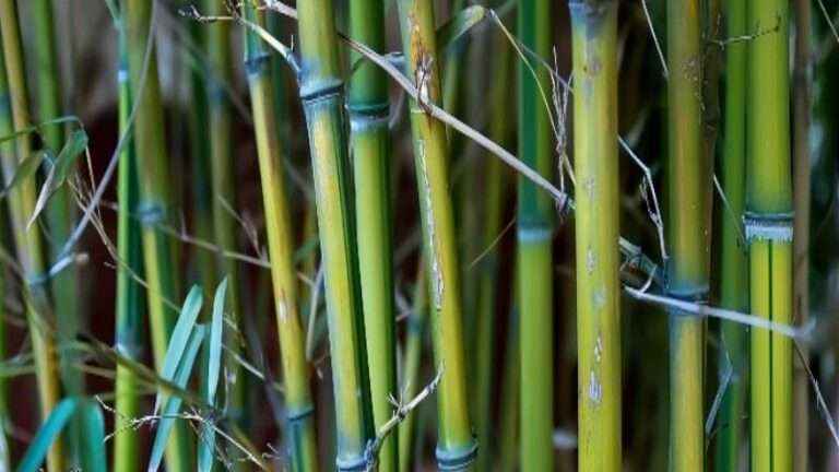 南宫ng28(中国游)官方网站