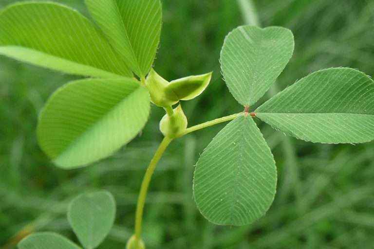 南宫ng28(中国游)官方网站