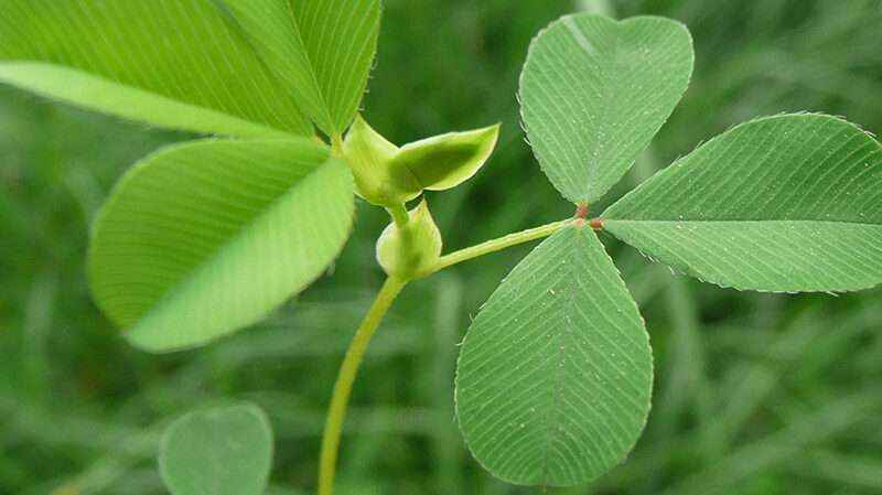 南宫ng28(中国游)官方网站