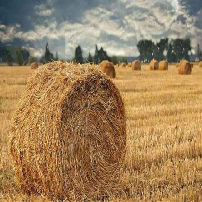 南宫ng28(中国游)官方网站