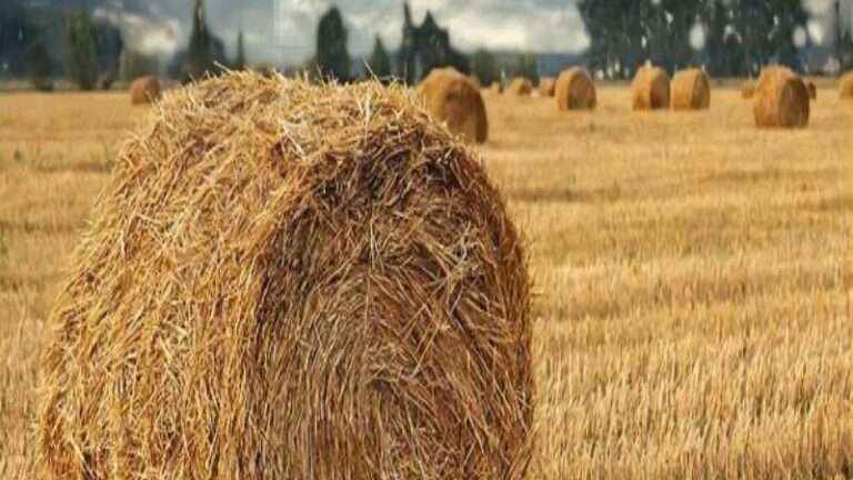 南宫ng28(中国游)官方网站