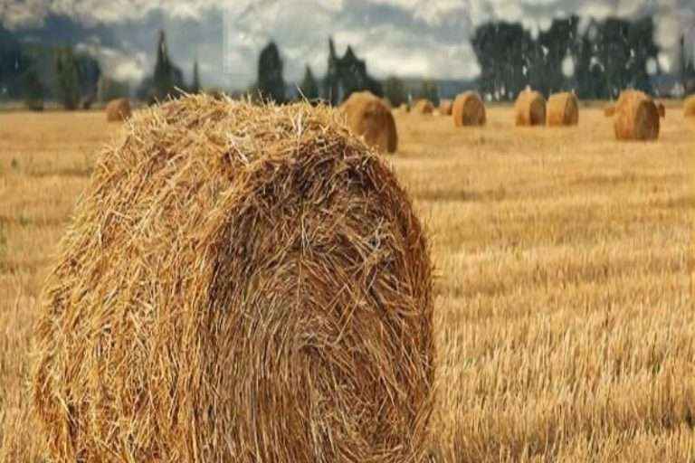 南宫ng28(中国游)官方网站