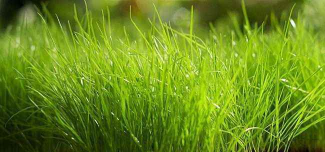 南宫ng28(中国游)官方网站