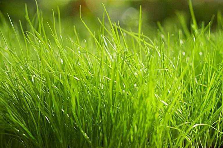 南宫ng28(中国游)官方网站