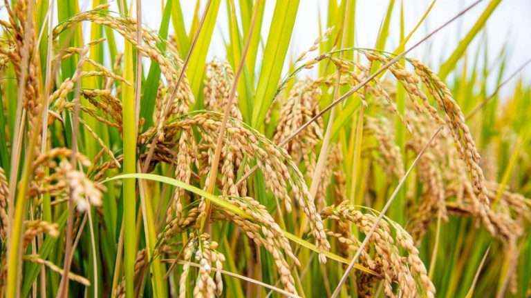 南宫ng28(中国游)官方网站