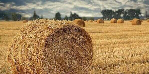 南宫ng28(中国游)官方网站