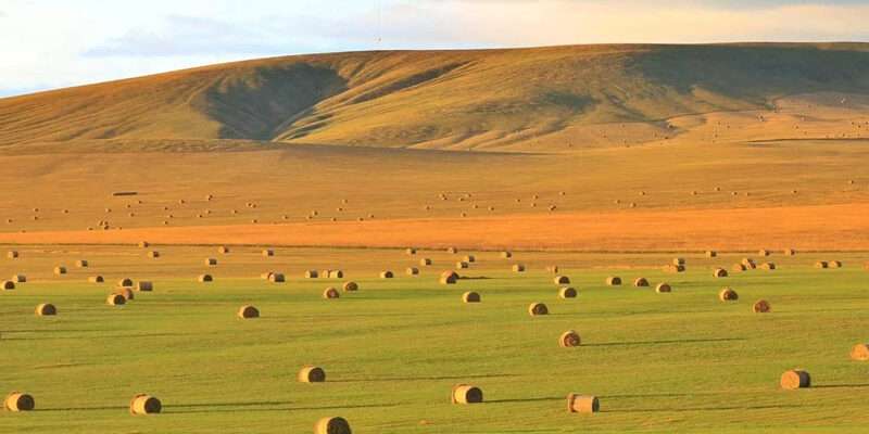 南宫ng28(中国游)官方网站