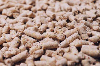 南宫ng28(中国游)官方网站